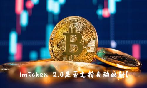 imToken 2.0是否支持自动映射？