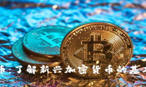 南瓜币：了解新兴加密货币的基本原理