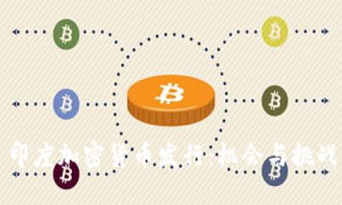 印度加密货币发行：机会与挑战