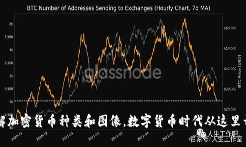 了解加密货币种类和图像，数字货币时代从这里开始