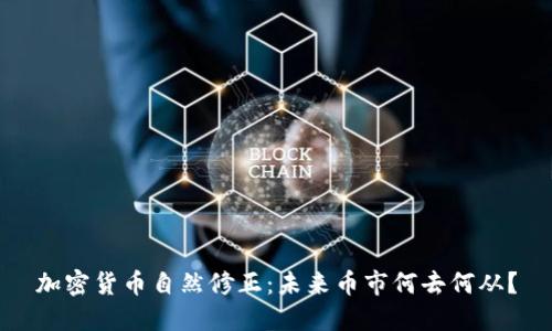 加密货币自然修正：未来币市何去何从？