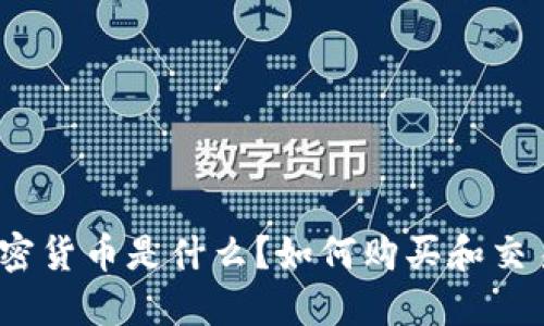 加密货币是什么？如何购买和交易？