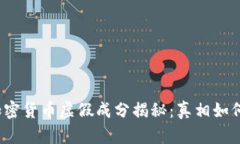 加密货币虚假成分揭秘：真相如何？