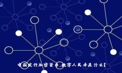中国发行加密货币，数字人民币是什么？