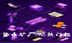 探索迪拜加密货币矿厂：从热门投资到环保问题
