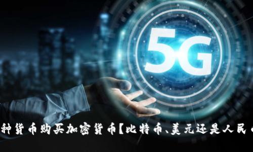 哪种货币购买加密货币？比特币、美元还是人民币？