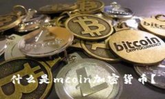 什么是mcoin加密货币？
