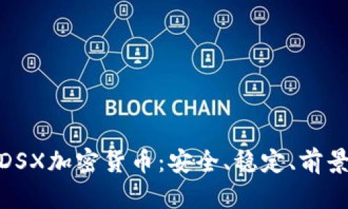 探究DSX加密货币：安全、稳定、前景可观