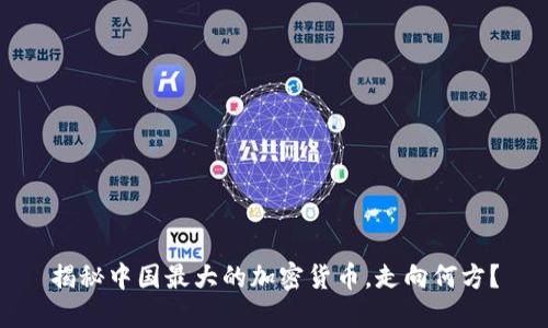 揭秘中国最大的加密货币，走向何方？
