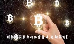 揭秘中国最大的加密货币，走向何方？