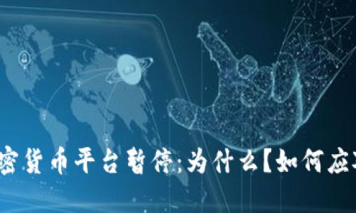 加密货币平台暂停：为什么？如何应对？