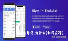 加密货币平台暂停：为什么？如何应对？