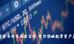 加密货币种子图片高清，带你领略数字资产美感