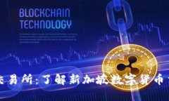 新加坡加密币货币交易所：了解新加坡数字货币
