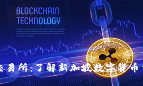新加坡加密币货币交易所：了解新加坡数字货币交易所带给你的收益