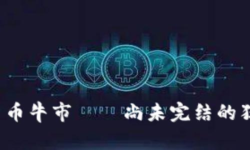 加密货币牛市——尚未完结的狂欢节！