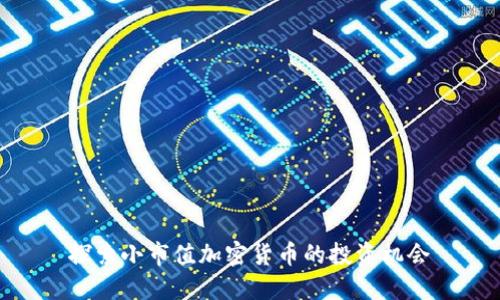 探索小市值加密货币的投资机会