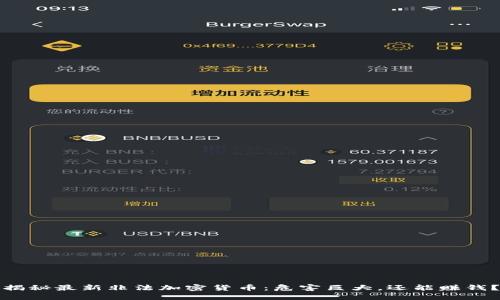 揭秘最新非法加密货币：危害巨大，还能赚钱？