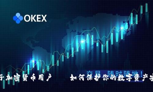 电子加密货币用户——如何保护你的数字资产安全