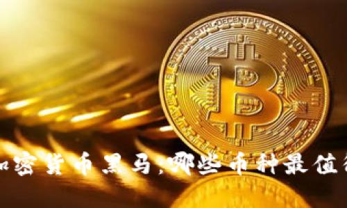 2020加密货币黑马：哪些币种最值得投资？