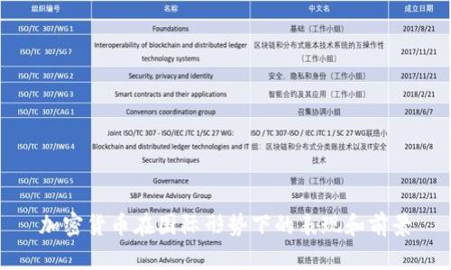 加密货币在国际形势下的表现和前景