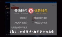 了解S11加密货币-数字货币的新宠