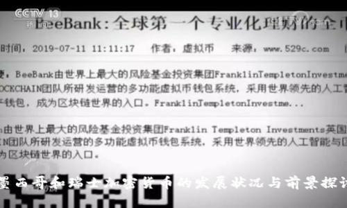 墨西哥和瑞士加密货币的发展状况与前景探讨