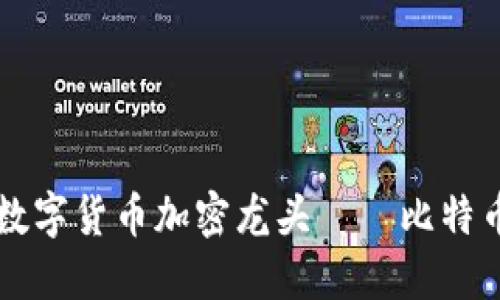中国数字货币加密龙头——比特币详解