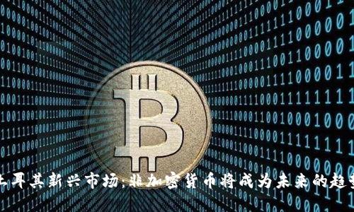 土耳其新兴市场：非加密货币将成为未来的趋势