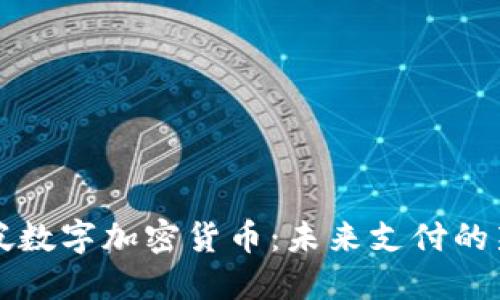 新加坡数字加密货币：未来支付的新时代