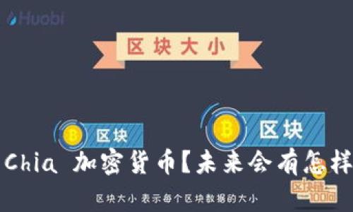 什么是 Chia 加密货币？未来会有怎样的发展？
