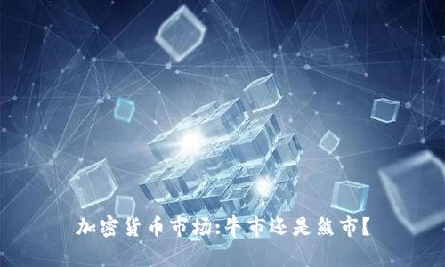 加密货币市场:牛市还是熊市？