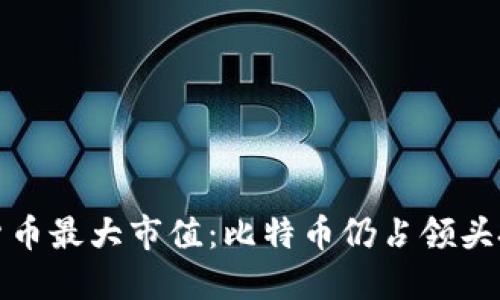 加密货币最大市值：比特币仍占领头把交椅