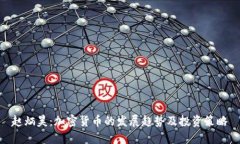 赵炳昊：加密货币的发展趋势及投资策略