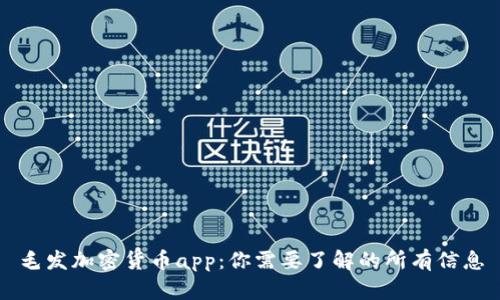 毛发加密货币app：你需要了解的所有信息