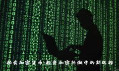 拍卖加密货币：投资加密热潮中的新选择