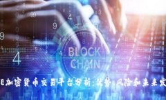 ICE加密货币交易平台分析：优势、风险和未来发