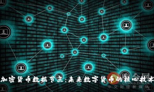 加密货币数据节点:未来数字货币的核心技术