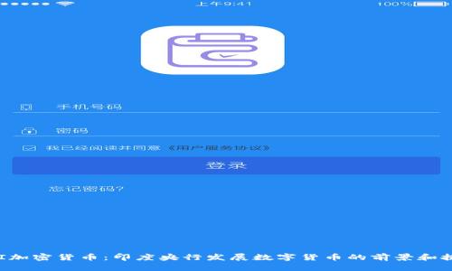 RBI加密货币：印度央行发展数字货币的前景和挑战
