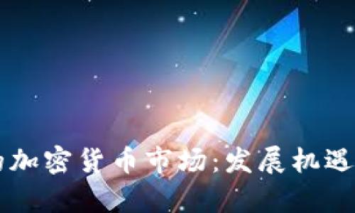 巴基斯坦的加密货币市场：发展机遇和风险分析