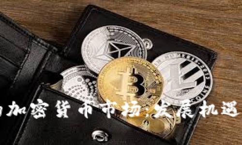 巴基斯坦的加密货币市场：发展机遇和风险分析