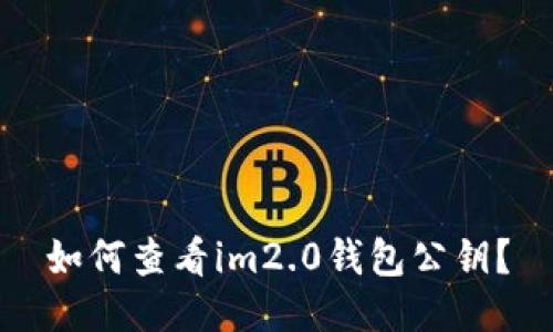 如何查看im2.0钱包公钥？