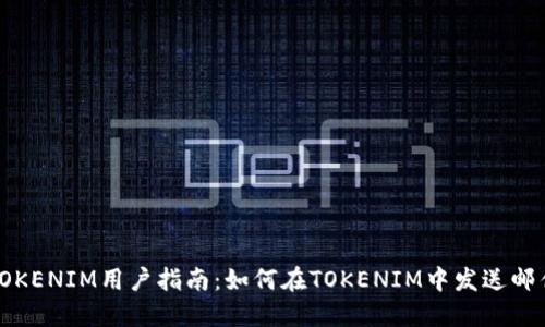 TOKENIM用户指南：如何在TOKENIM中发送邮件