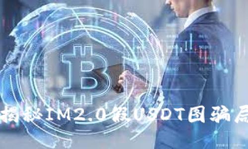 揭秘IM2.0假USDT图骗局