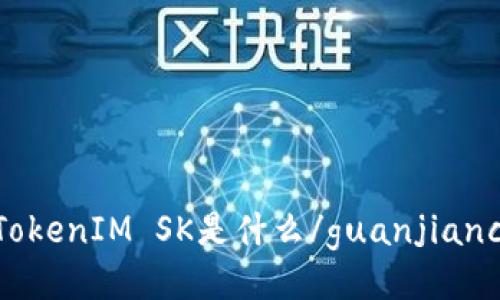 TokenIM SK是什么/guanjianci