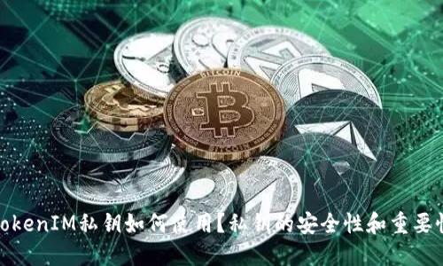 TokenIM私钥如何使用？私钥的安全性和重要性