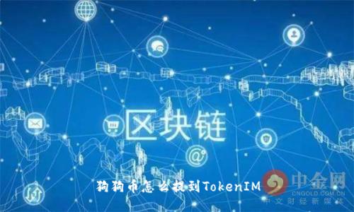 狗狗币怎么提到TokenIM