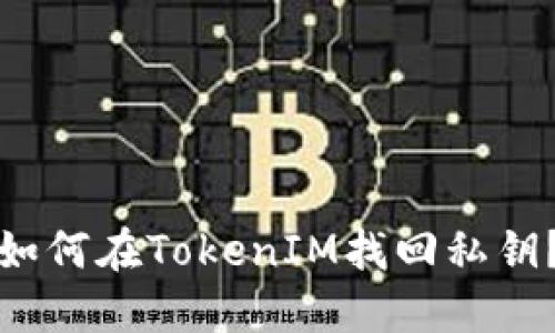 如何在TokenIM找回私钥？