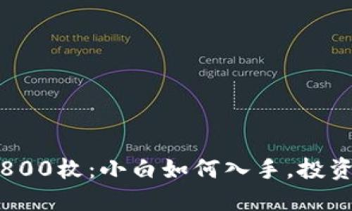 加密货币800枚：小白如何入手，投资攻略详解