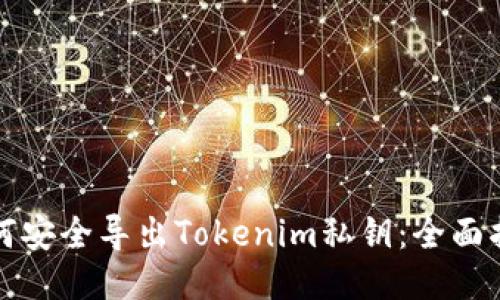 如何安全导出Tokenim私钥：全面指南